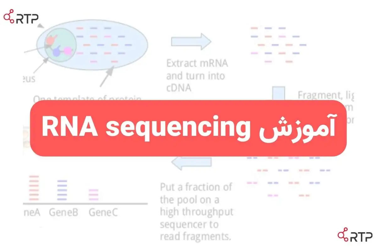 RNA sequencing آموزش